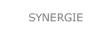 SYNERGIE